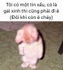 IMG_0116.jpeg