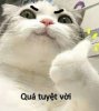 upload_2025-8-22_22-42-31.jpeg