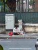 IMG_8732.jpeg