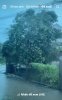 IMG_6580.jpeg