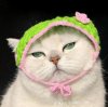 IMG_8767.jpeg
