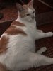 IMG_8773.jpeg