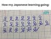 IMG_0176.jpeg