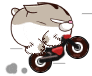 giphy.gif