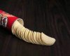 IMG_0198.jpeg