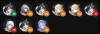 upload_2025-8-28_20-51-32.png