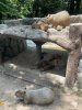 IMG_3738.jpeg