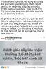 upload_2025-8-29_16-24-26.png
