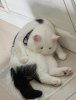 FB_IMG_1756479511523.jpg