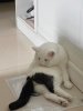 FB_IMG_1756479514111.jpg