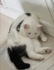 IMG_8812.jpeg