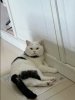 IMG_8813.jpeg