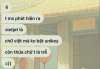 IMG_0253.jpeg