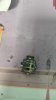 received_1380222917043881.jpeg