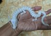 IMG_20250901_222911.jpg