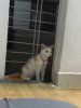 IMG_0498.jpeg