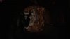 upload_2025-9-3_22-16-43.jpeg