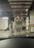 IMG_8893.jpeg