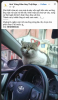 upload_2025-9-4_11-45-24.png