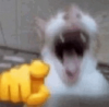 ezgif.com-apng-maker.png