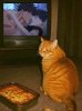 IMG_8938.jpeg