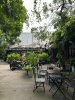 IMG_0533.jpeg