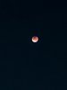 IMG_20250908_023234.jpg