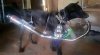 IMG_1478.jpeg