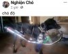 FB_IMG_1757437457110.jpg