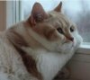 IMG_9012.jpeg