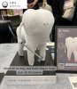 IMG_1176.jpeg
