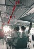 IMG_1740_Afterlight.jpeg