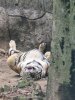 IMG_0564.jpeg