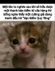 FB_IMG_1757720907249.jpg