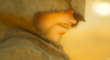 upload_2025-9-13_12-1-31.png