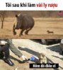 FB_IMG_1757846909096.jpg