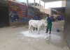 IMG_3844.jpeg