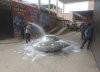 IMG_3847.jpeg