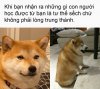 FB_IMG_1757922853464.jpg
