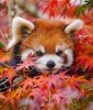 IMG_9079.jpeg