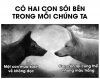 FB_IMG_1757988834417.jpg