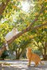IMG_9107.jpeg