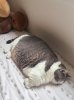 IMG_9119.jpeg