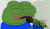 upload_2025-9-17_20-0-48.png