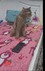 AISelect_20250918_155029_TikTok.jpg