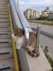 IMG_9132.jpeg