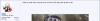 003.png