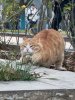 IMG_9182.jpeg