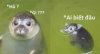 upload_2025-9-21_12-42-8.jpeg