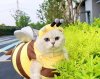 IMG_9181.jpeg